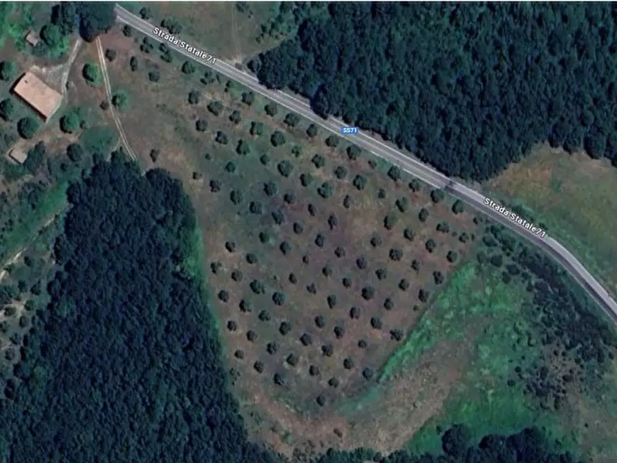 Immagine 17 di Terreno agricolo in vendita  in Strada Statale 71 a Ficulle