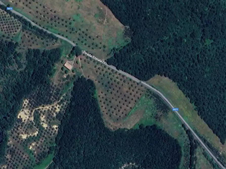 Immagine 18 di Terreno agricolo in vendita  in Strada Statale 71 a Ficulle