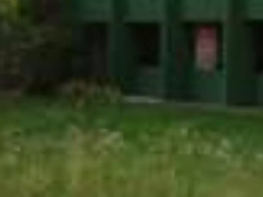 Immagine 6 di Capannone industriale in vendita  in via Maniago a San Quirino