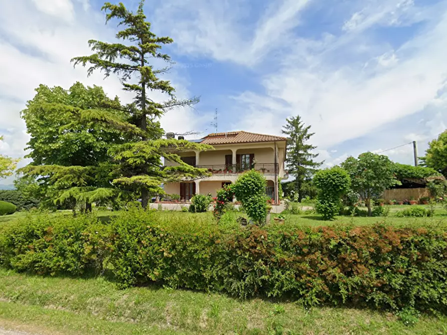 Immagine 4 di Villa in vendita  a Montone