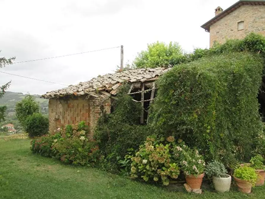 Immagine 8 di Villa in vendita  a Montone