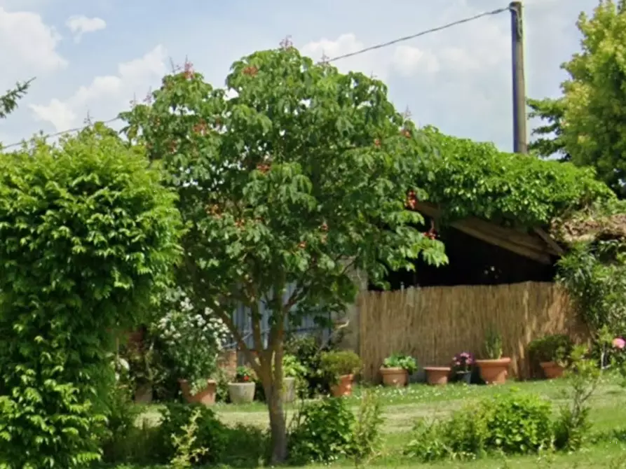 Immagine 9 di Villa in vendita  a Montone