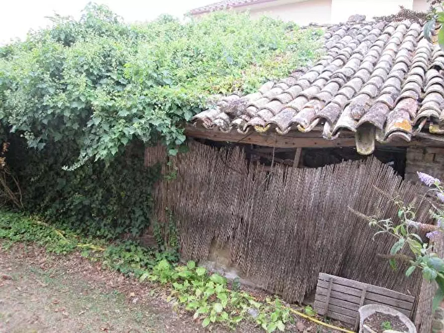 Immagine 11 di Villa in vendita  a Montone