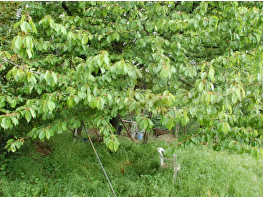 Immagine 10 di Appartamento in vendita  in Frazione La Bruna, Strada La Bruna a Perugia