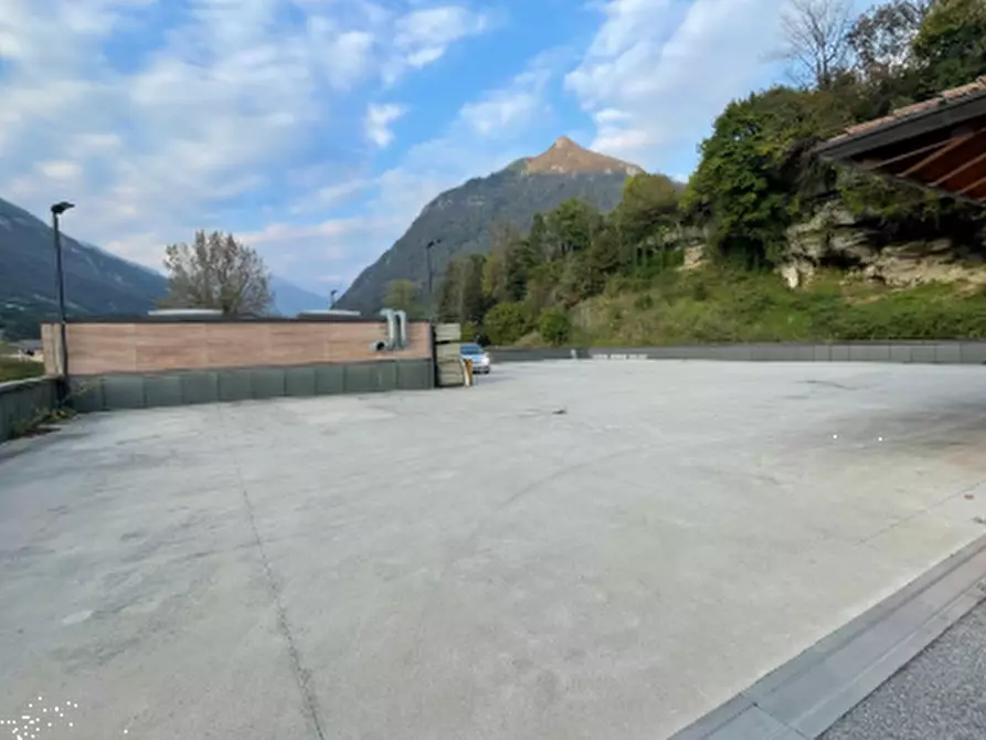 Immagine 4 di Capannone industriale in vendita  in Viale Guglielmo Marconi a Villa D'ogna