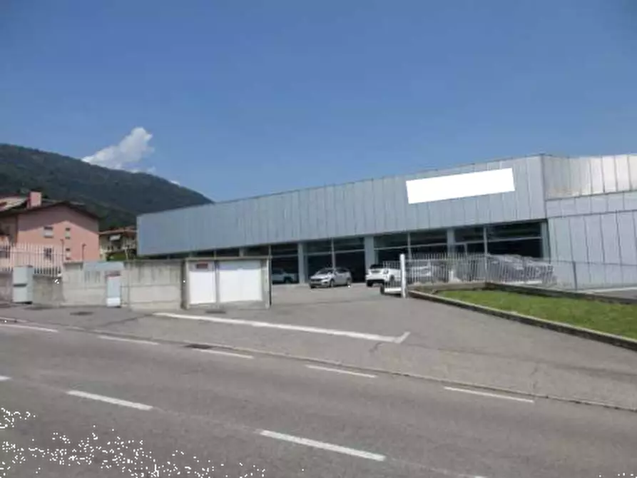 Immagine 2 di Capannone industriale in vendita  in Via Missionario Pietro Noris a Alzano Lombardo