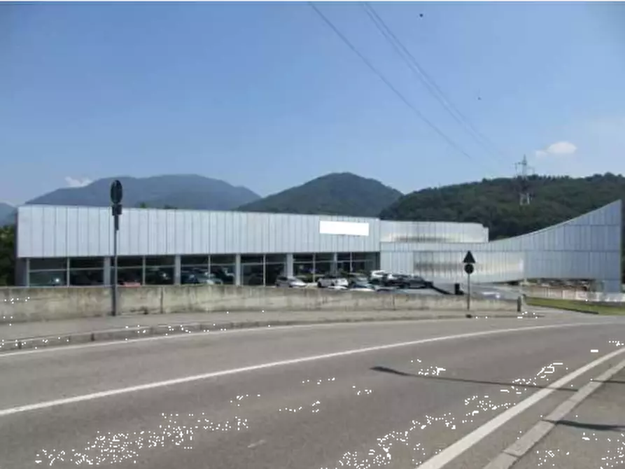Immagine 3 di Capannone industriale in vendita  in Via Missionario Pietro Noris a Alzano Lombardo