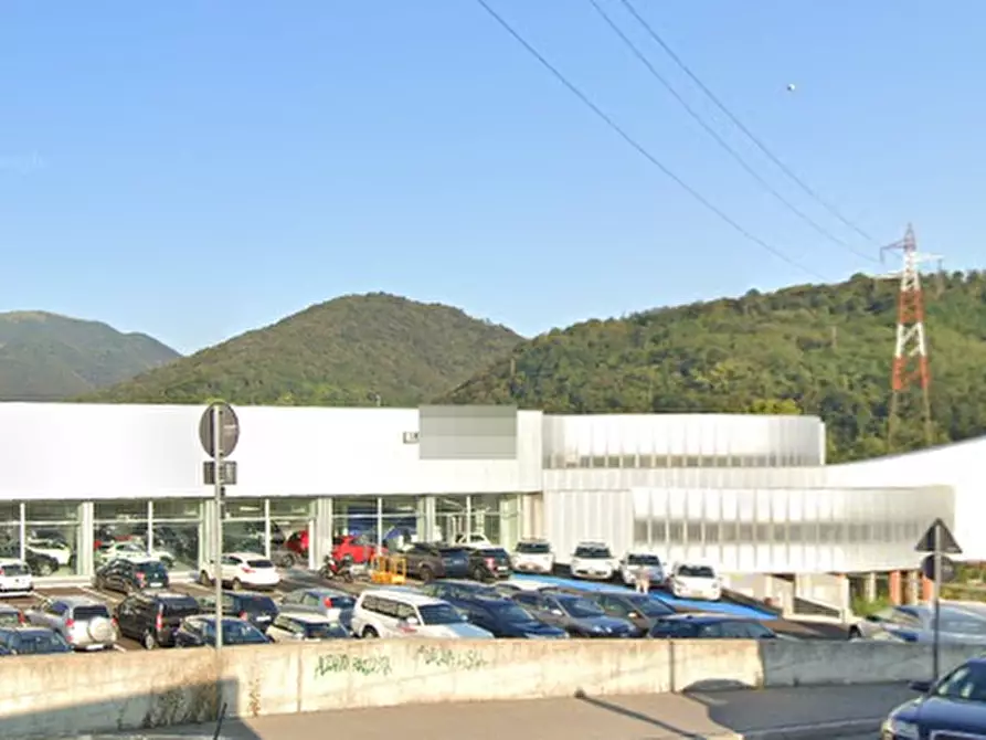 Immagine 15 di Capannone industriale in vendita  in Via Missionario Pietro Noris a Alzano Lombardo