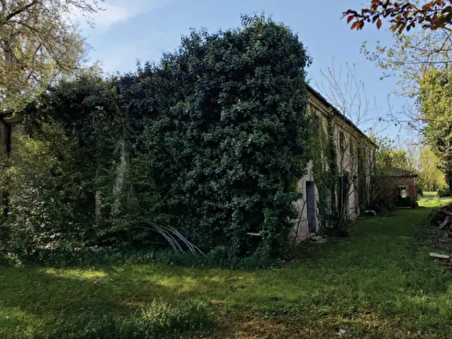 Immagine 4 di Magazzino in vendita  in Via del Capitello a Ferrara