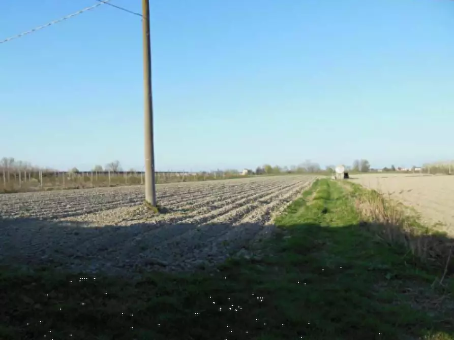 Immagine 8 di Rustico / casale in vendita  in Via Galliera a Poggio Renatico