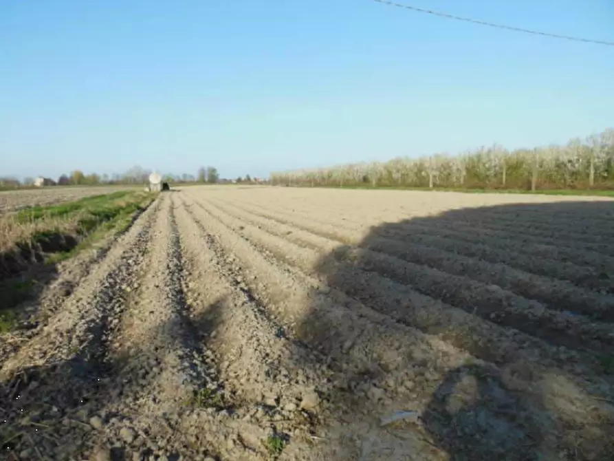 Immagine 9 di Rustico / casale in vendita  in Via Galliera a Poggio Renatico