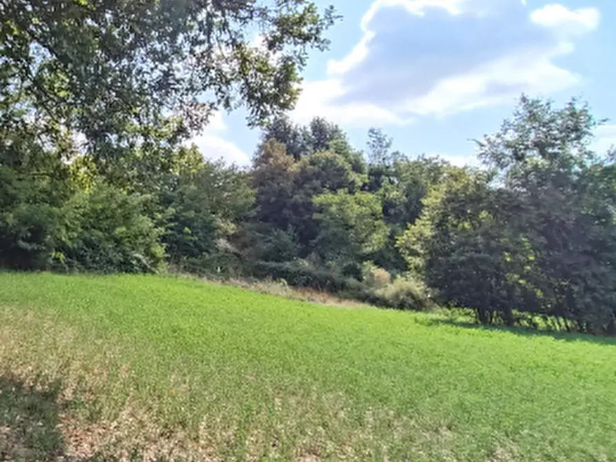 Immagine 3 di Porzione di casa in vendita  in Via Paderna di Sotto a Neviano Degli Arduini