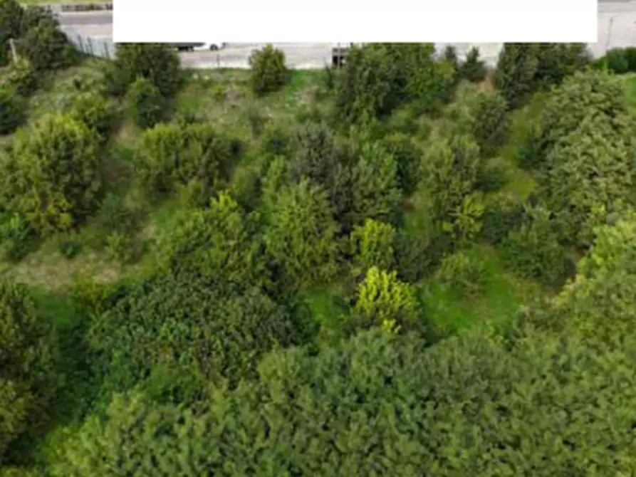 Immagine 9 di Terreno edificabile in vendita  in Viale Poggio Reale a Mantova