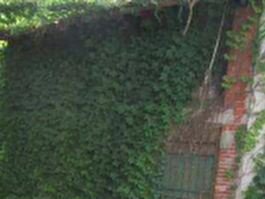 Immagine 5 di Rustico / casale in vendita  in Via Bocca Chiavica  a Gazzuolo