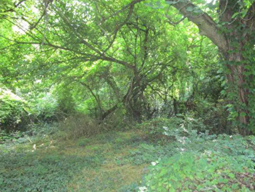 Immagine 8 di Rustico / casale in vendita  in Via Bocca Chiavica  a Gazzuolo