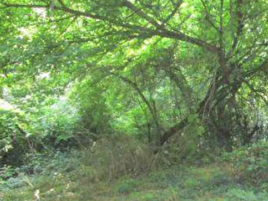 Immagine 9 di Rustico / casale in vendita  in Via Bocca Chiavica  a Gazzuolo