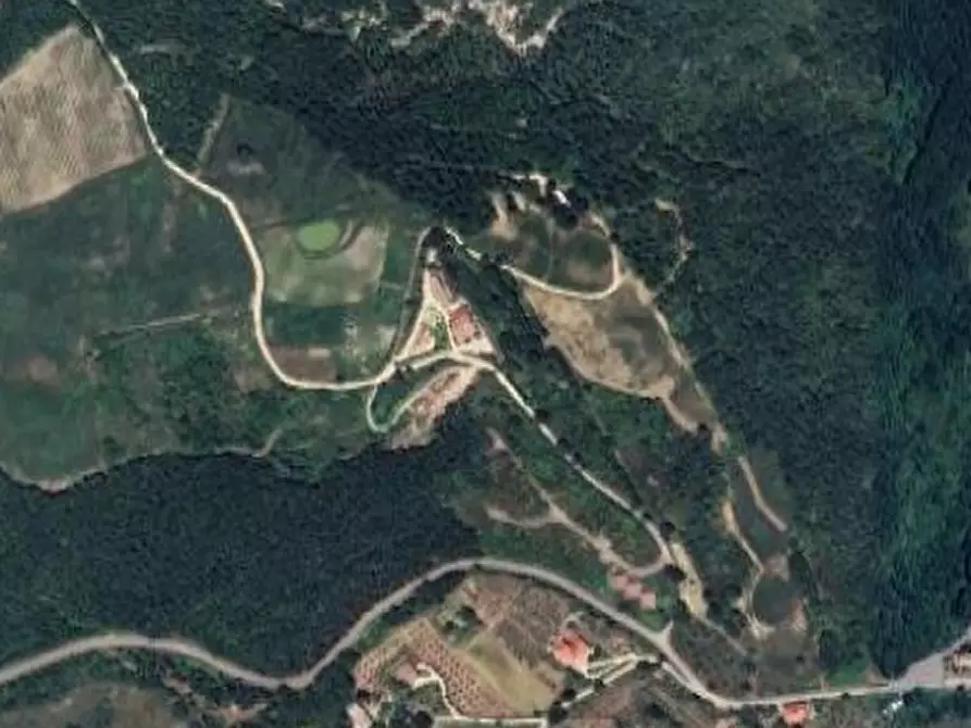 Immagine 5 di Terreno edificabile in vendita  in Loc. Selvella a Allerona