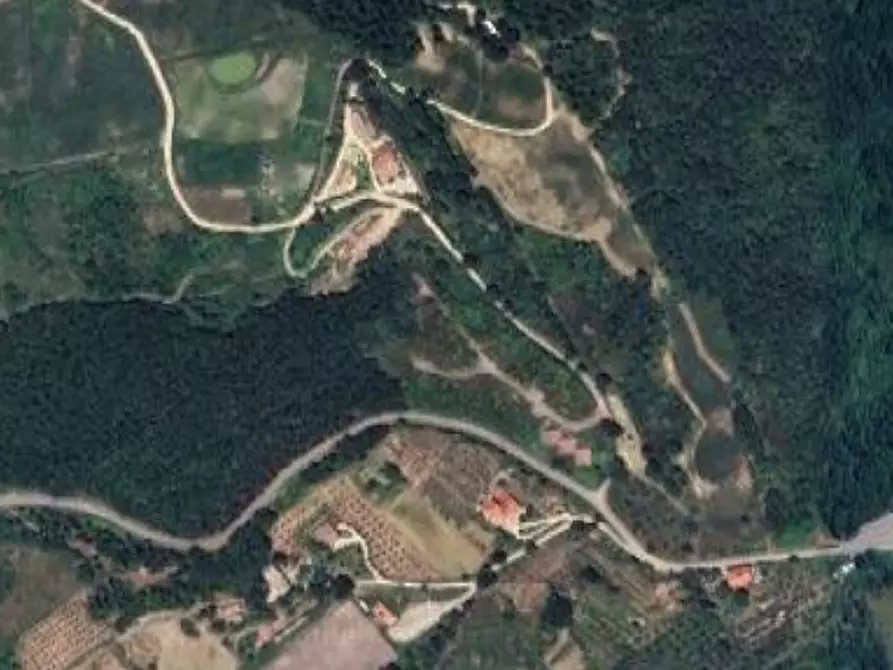 Immagine 2 di Terreno edificabile in vendita  in Loc. Selvella a Allerona