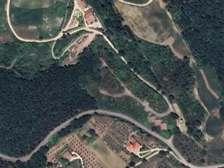 Immagine 3 di Terreno edificabile in vendita  in Loc. Selvella a Allerona