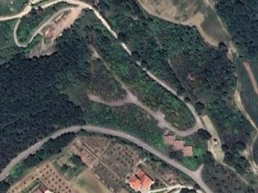 Immagine 4 di Terreno edificabile in vendita  in Loc. Selvella a Allerona
