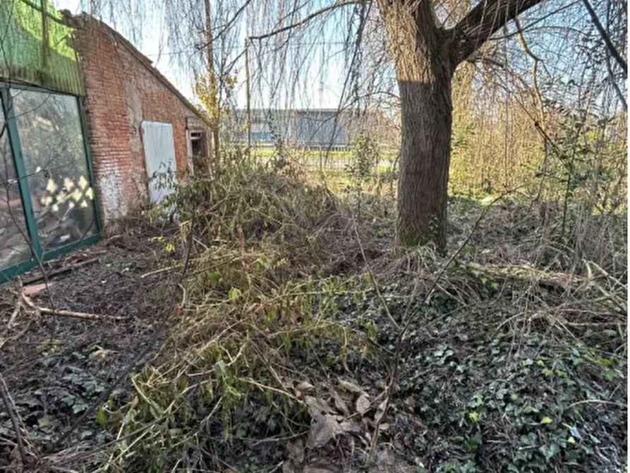 Immagine 2 di Casa indipendente in vendita  in Via L. Galvani a Sermide