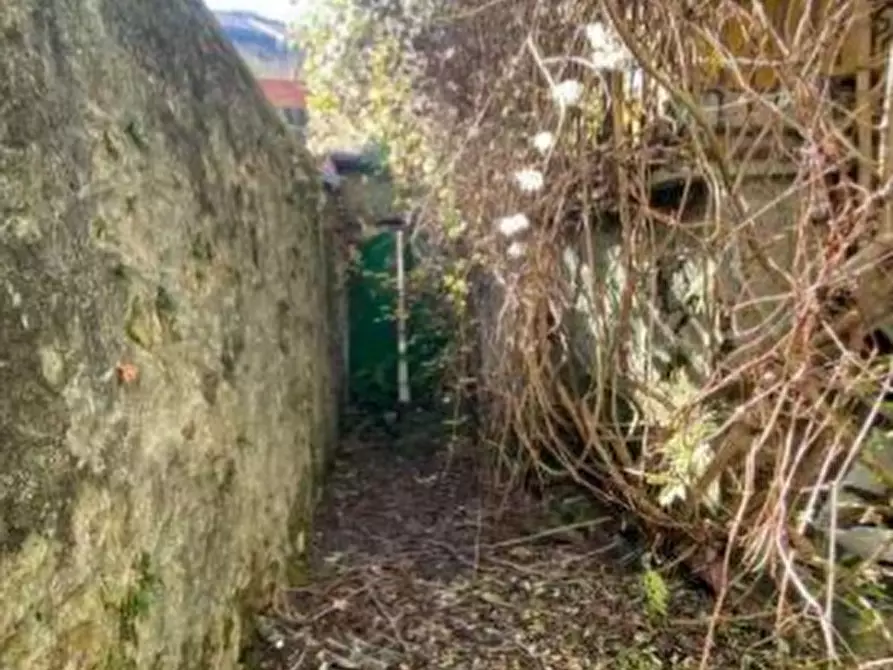 Immagine 4 di Appartamento in vendita  in Via Stoppani a Taceno