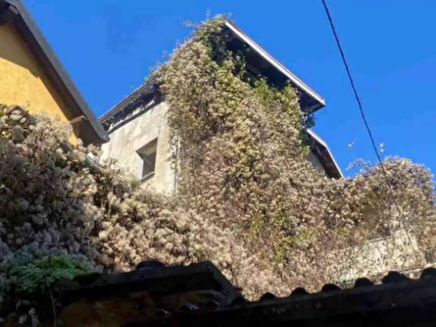 Immagine 3 di Appartamento in vendita  in Via Stoppani a Taceno