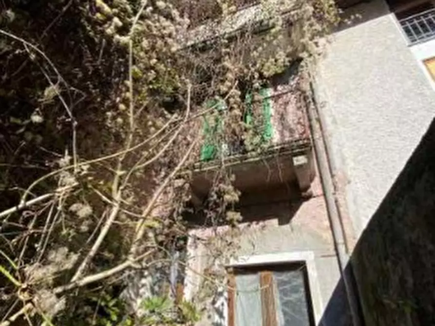 Immagine 2 di Appartamento in vendita  in Via Stoppani a Taceno