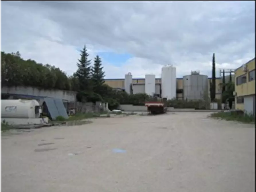 Immagine 3 di Capannone industriale in vendita  in Via del Palio a Gualdo Tadino