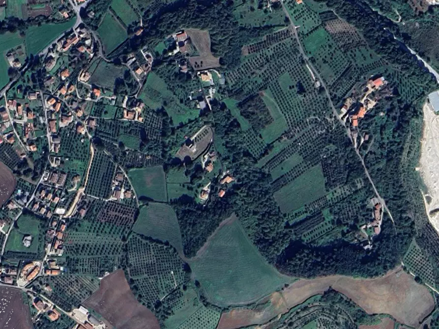 Immagine 3 di Villa in vendita  in Contrada Ponte del Colle a Artena