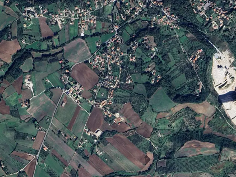 Immagine 4 di Terreno agricolo in vendita  in Ponte del Colle a Artena