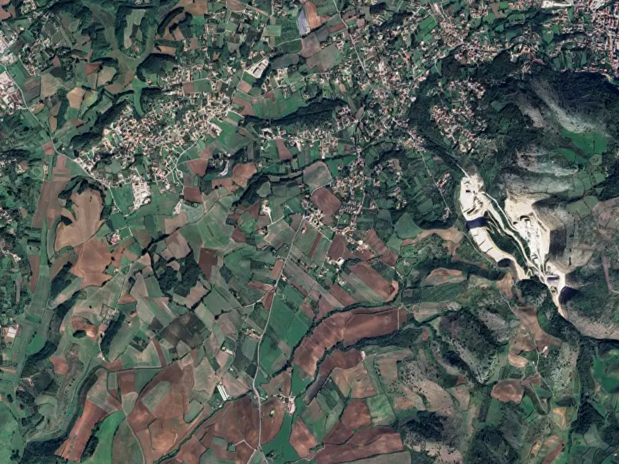 Immagine 6 di Terreno agricolo in vendita  in Ponte del Colle a Artena