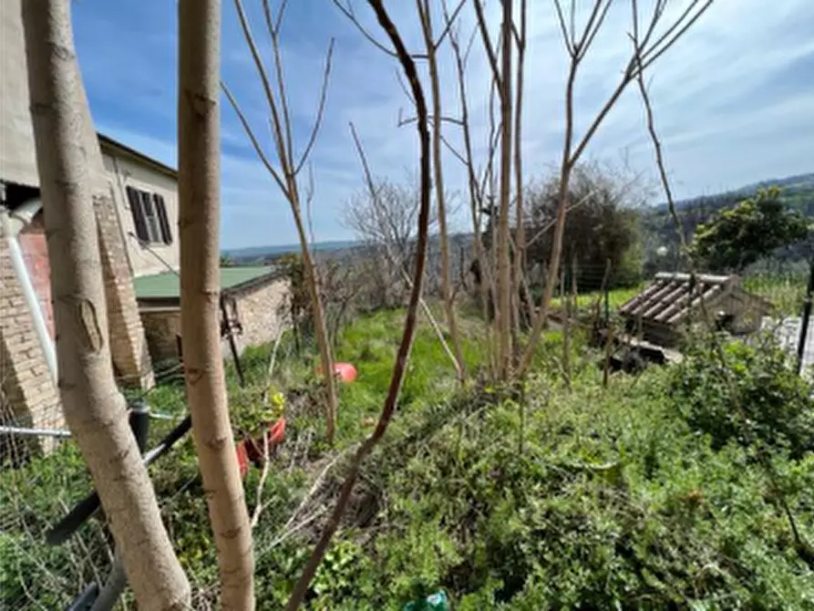 Immagine 3 di Appartamento in vendita  in Frazione Torre a Cingoli