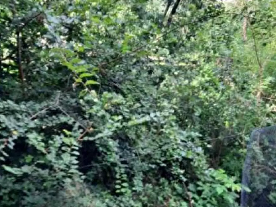 Immagine 9 di Casa indipendente in vendita  in Via Ronzani a Salcedo