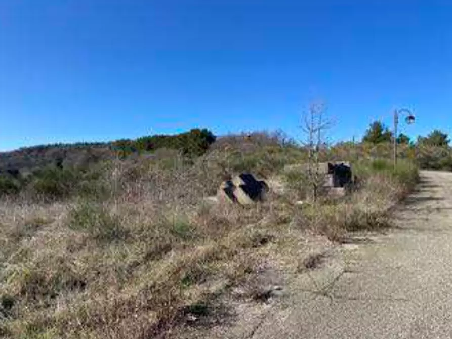 Immagine 1 di Terreno edificabile in vendita  in Loc. Selvella a Allerona