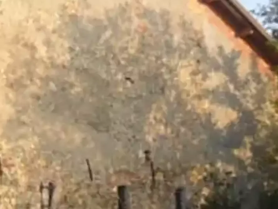 Immagine 7 di Stabile in vendita  in Via Romesino a Albinea