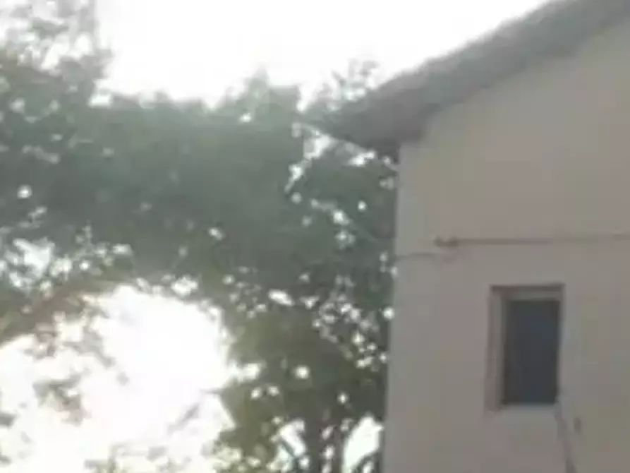 Immagine 8 di Stabile in vendita  in Via Romesino a Albinea