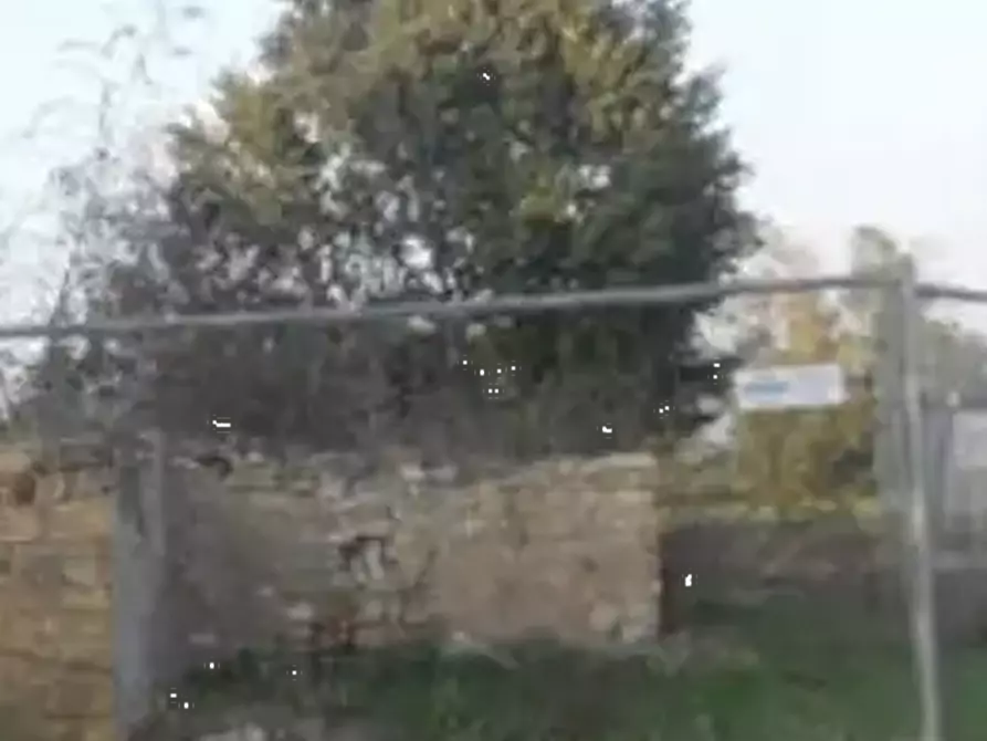 Immagine 9 di Stabile in vendita  in Via Romesino a Albinea