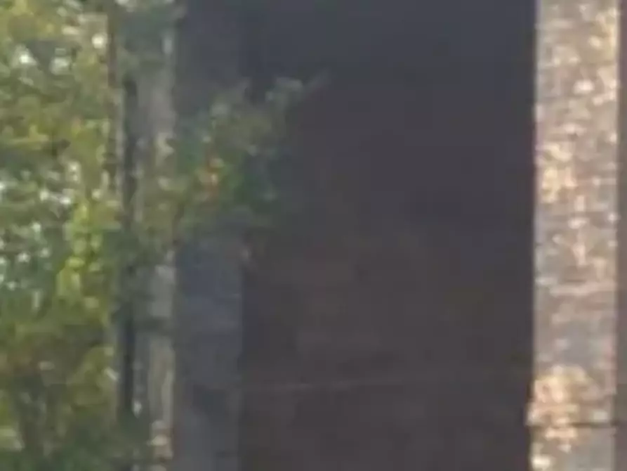 Immagine 13 di Stabile in vendita  in Via Romesino a Albinea