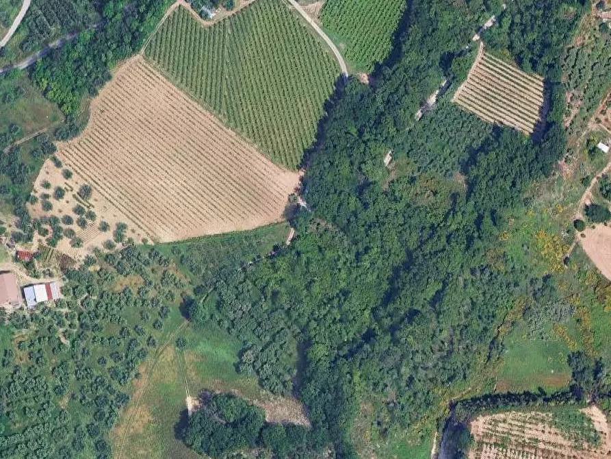 Immagine 5 di Terreno edificabile in vendita  in Contrada Casale a Villamagna