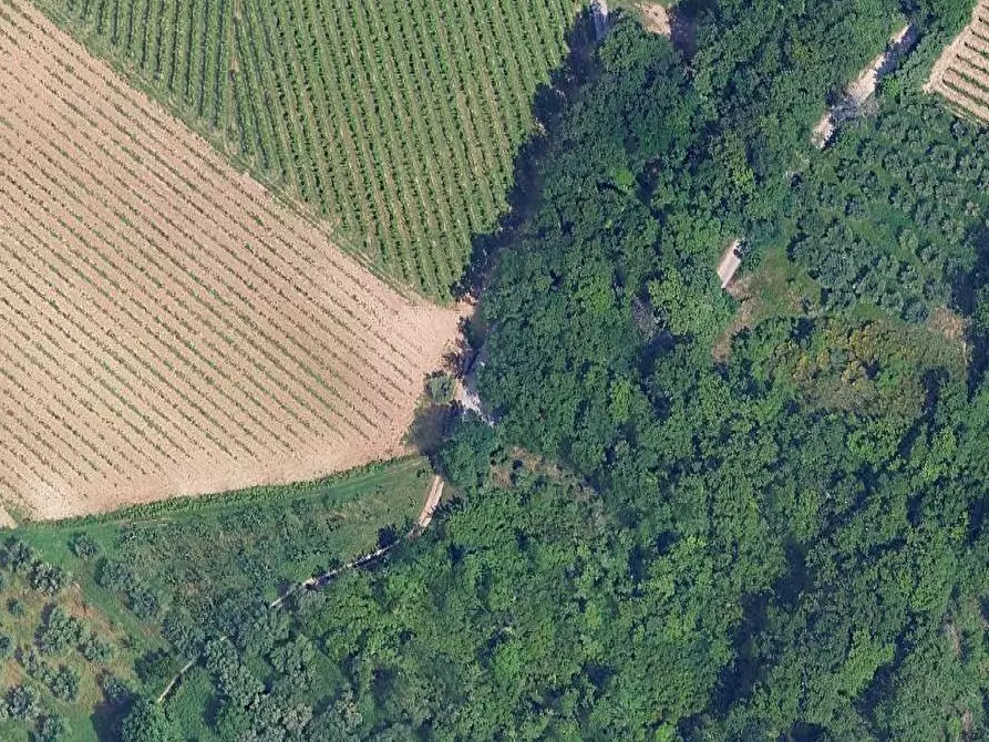 Immagine 6 di Terreno edificabile in vendita  in Contrada Casale a Villamagna