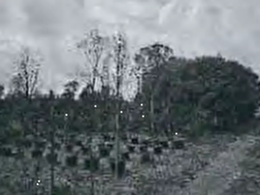 Immagine 18 di Porzione di casa in vendita  in Via Caovilla a Saonara