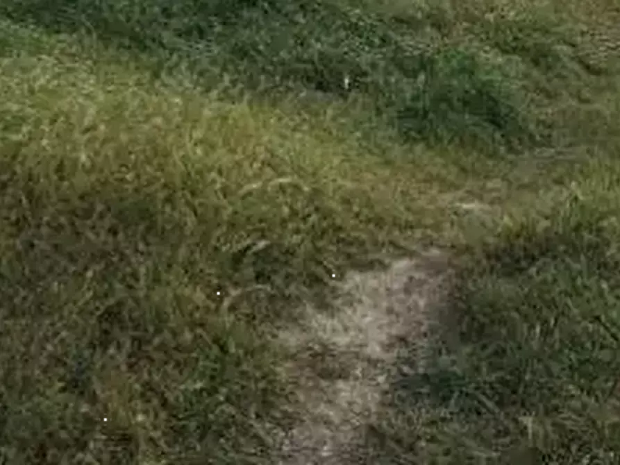 Immagine 2 di Terreno edificabile in vendita  in Via idra a Fiumicino