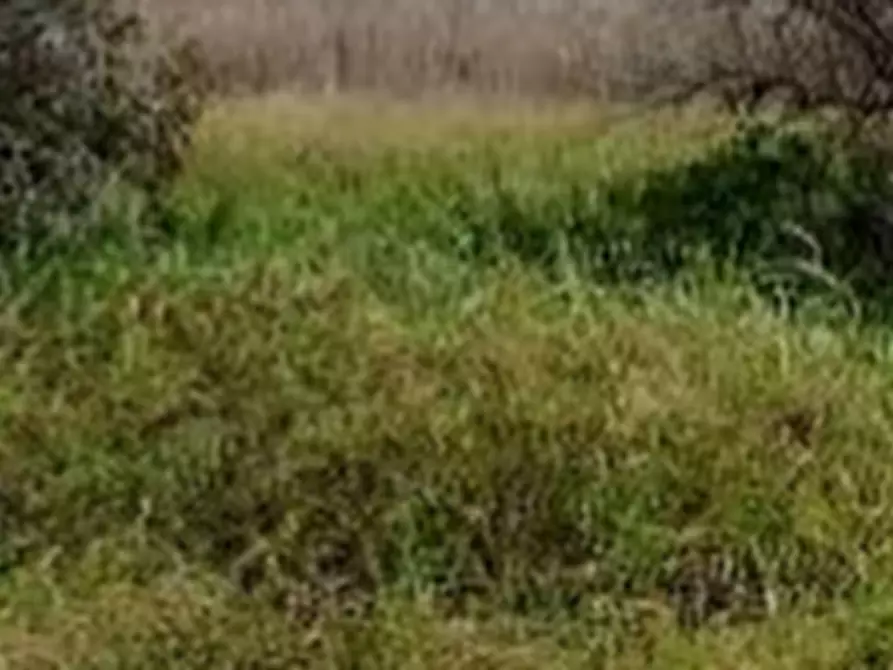 Immagine 3 di Terreno edificabile in vendita  in Via idra a Fiumicino