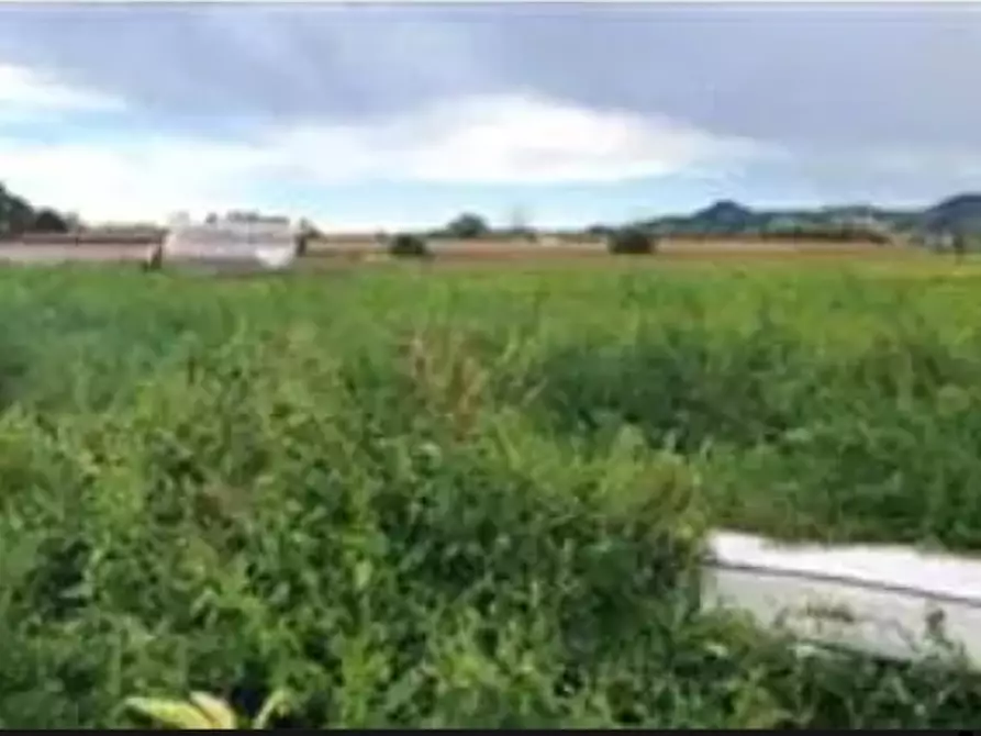 Immagine 10 di Terreno agricolo in vendita  in Via Salara a San Giovanni Teatino