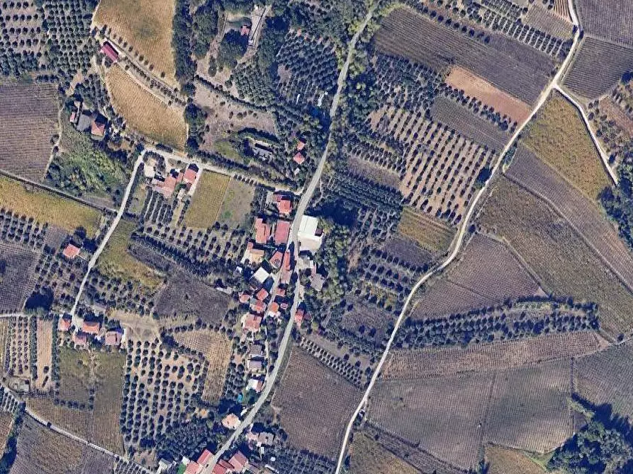 Immagine 14 di Villa in vendita  in Contrada Montupoli Foro a Miglianico