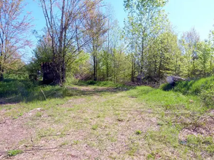 Immagine 3 di Rustico / casale in vendita  in Località Valle Benedetta a Asti