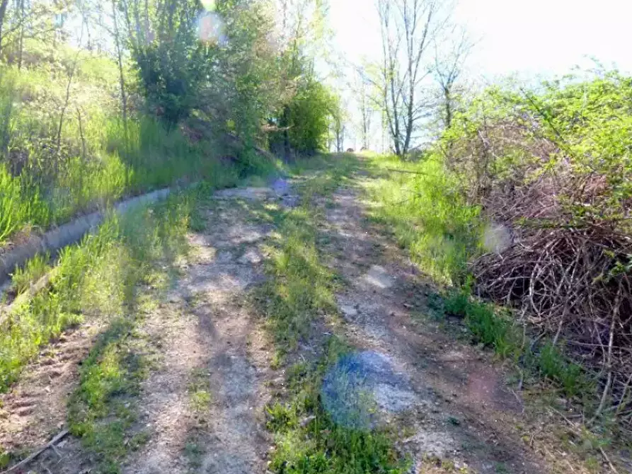 Immagine 6 di Rustico / casale in vendita  in Località Valle Benedetta a Asti