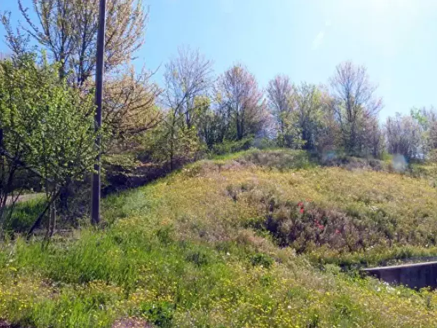 Immagine 9 di Rustico / casale in vendita  in Località Valle Benedetta a Asti