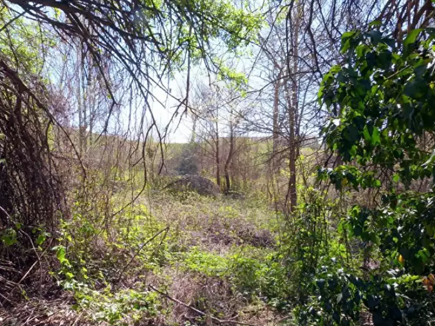 Immagine 11 di Rustico / casale in vendita  in Località Valle Benedetta a Asti